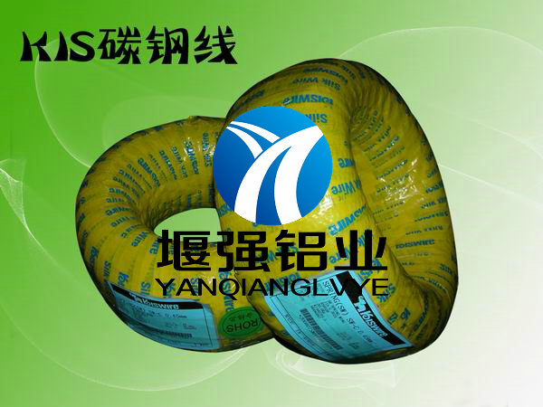 进口琴钢丝 韩国象牌琴钢丝 琴钢丝SWP-B